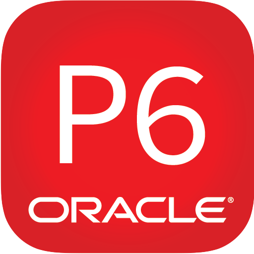 Oracle P6